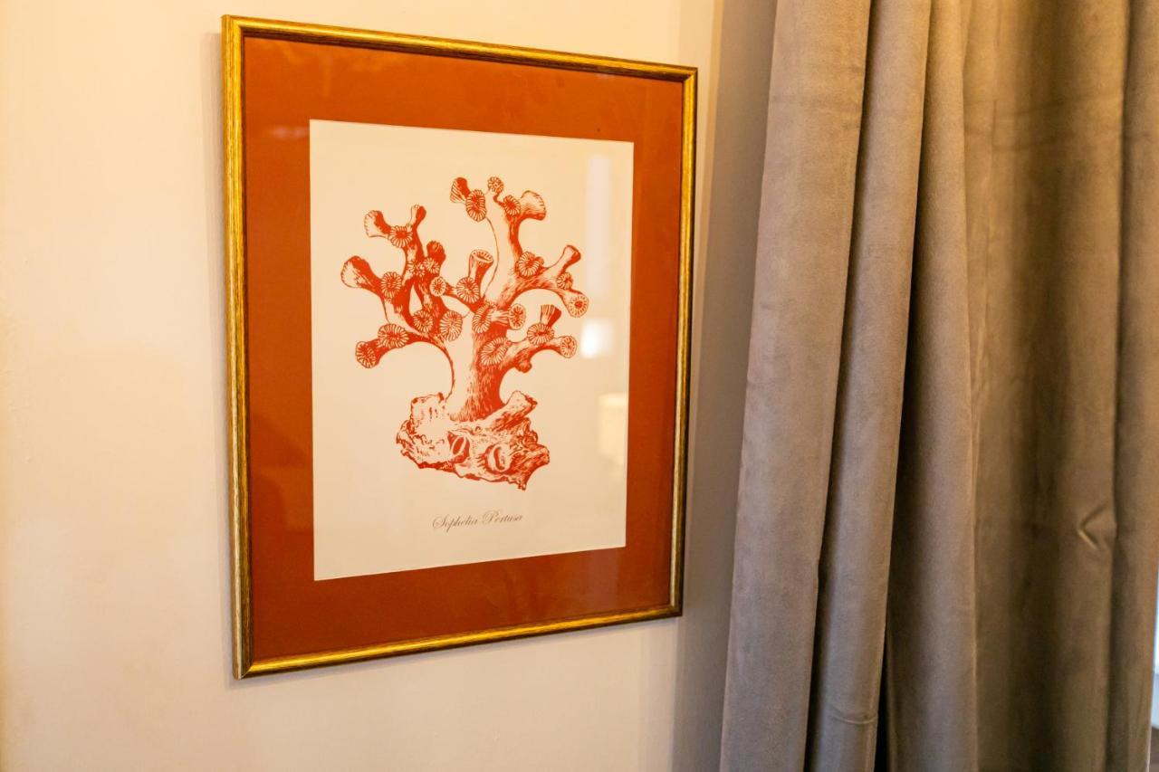 Apartamento 3 Dormitorios En Calle San Vicente. Севилья Экстерьер фото